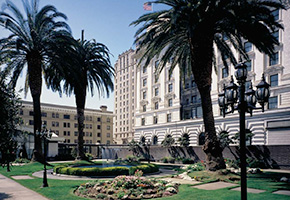 The rooftop garden